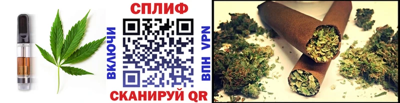 MEGA как зайти  Электрогорск  Cannafood марихуана 