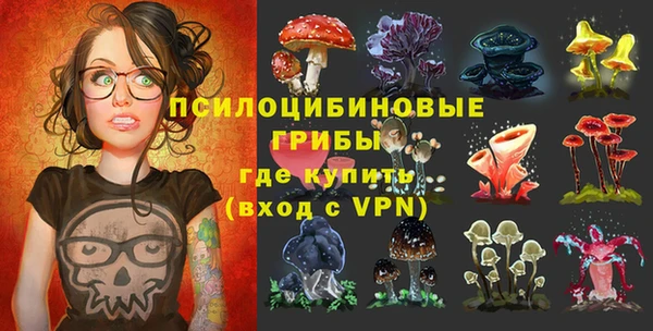 соль ск Верхний Тагил