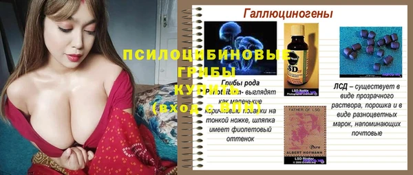 соль ск Верхний Тагил