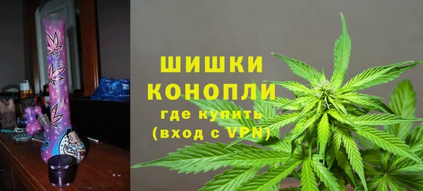 соль ск Верхний Тагил
