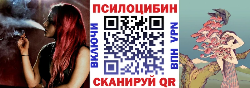 Псилоцибиновые грибы прущие грибы  магазин  наркотиков  Электрогорск 