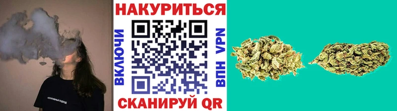 Марихуана планчик Электрогорск